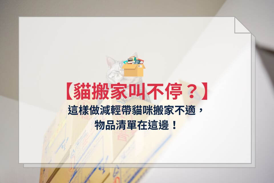 貓搬家叫不停？這樣做減輕帶貓咪搬家不適，物品清單在這邊！