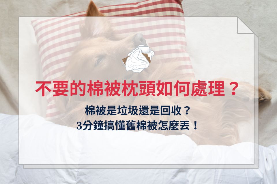 不要的棉被枕頭如何處理?棉被是垃圾還是回收?3分鐘搞懂舊棉被怎麼丟!